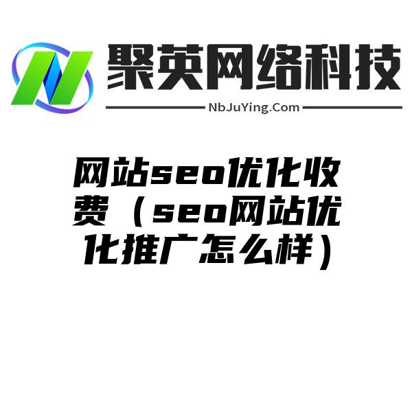 網站(zhàn)seo優化收費（seo網站(zhàn)優化推廣怎麽樣）